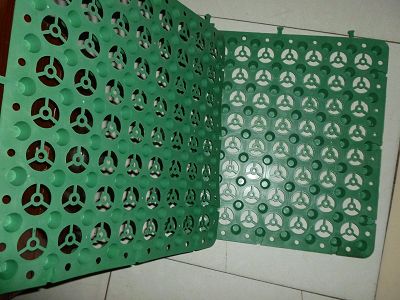 1513671871707657.jpg