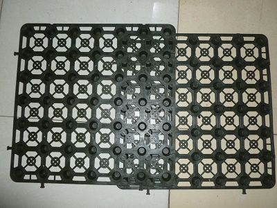 1513671875871479.jpg