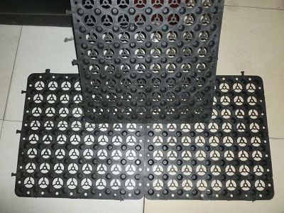 1513671887369169.jpg